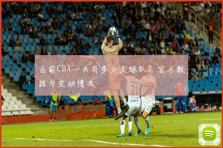 当前CBA一共有多少支球队？官方数据与变动情况