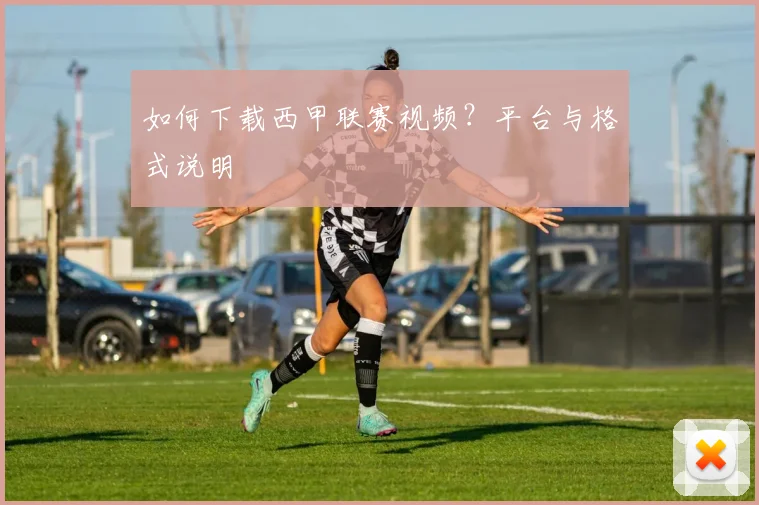 如何下载西甲联赛视频？平台与格式说明