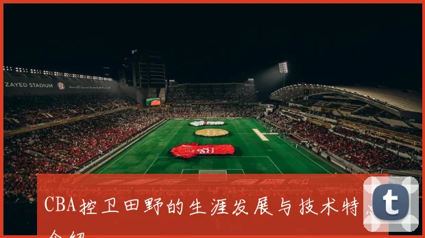 CBA控卫田野的生涯发展与技术特点介绍